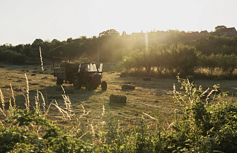 Участники СВО смогут получить грант до 7 млн рублей для стартового развития агробизнеса