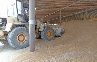 Более 280 предостережений получили участники зернового рынка в Дагестане