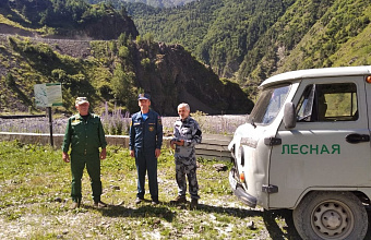 В Южном Дагестане лесничества перешли на особый режим работы из-за жары