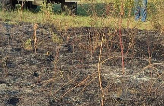 Лесной пожар в Курахском районе ликвидирован благодаря слаженным действиям жителей и пожарных