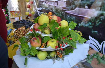 Более 14 тыс. тонн дагестанских фруктов и овощей поступило на прилавки торговых сетей России