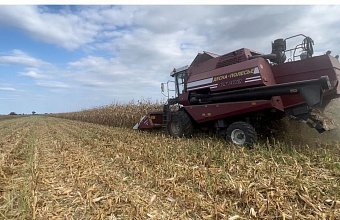 Аграрии Дагестана приступили к уборке кукурузы на зерно