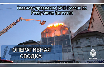 МЧС: 20 пожаров произошло в Дагестане за прошедшие сутки