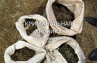 Свыше 6 килограммов марихуаны обнаружили у жителя Кизилюрта