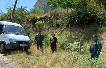 Даглесхоз проверяет арендаторов лесов на предмет выполнения противопожарных мер