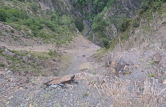 Автомобиль из-за камнепада упал в обрыв в Дагестане, погибли два человека