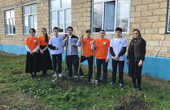 Волонтеры Каякентского района провели акцию «Посади свое дерево