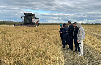 Аграрии Тарумовского района активно ведут уборку риса