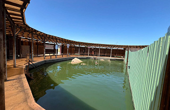 В Избербаше благоустроили территорию целебного источника на сумму более 3 млн рублей