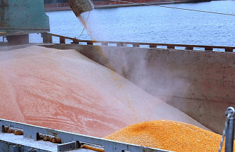 В Дагестане через морской порт Махачкалы отгружено более 550 тысяч тонн зерна в Иран