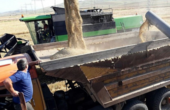 В Каякентском районе стартовала уборка озимых культур