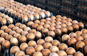 В Дагестане продолжается снижение годового темпа роста цен на продукты