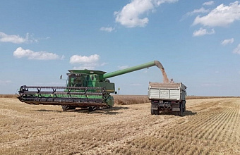 Свыше 8753 тонн урожая зерновых культур собрали в Каякентском районе