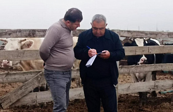 Главный зоотехник Карабудахкентского района проводит выездные обследования фермерских хозяйств