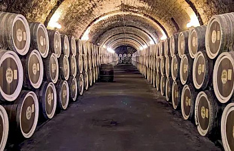 «Россети» обвинили в ущемлении интересов винзавода на юге Дагестана