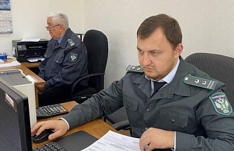 Управление Россельхознадзора по Дагестану выявило более 200 нарушений при перевозке лесоматериалов