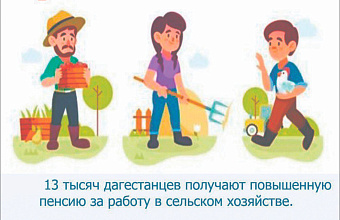 13 тысяч граждан Дагестана получают пенсию в увеличенном размере за их труд в аграрном секторе