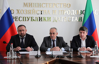 Коллективу Министерства сельского хозяйства представили нового руководителя