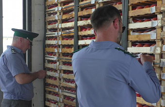 Россельхознадзор Дагестана досмотрел порядка 13 тысяч тонн импортной сельхозпродукции