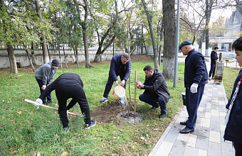 Дагестанские налоговики посадили 35 саженцев в честь 35-летия Службы