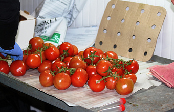 Россельхознадзор по РД обеспечил контроль более 23,5 тыс. тонн плодоовощной продукции для магазинов страны