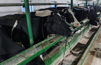 В КФХ «Арслан» подвели производственные итоги девяти месяцев