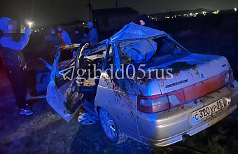 Автомобиль столкнулся с лошадью в Дагестане: погиб водитель