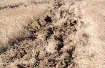 Гору Тарки-Тау в Махачкале обезопасят от огня противопожарными полосами