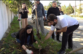 Город Дагестанские Огни присоединился ко Всероссийской акции «Сохраним лес»