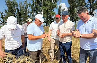 В Дагестане началась уборка озимых зерновых