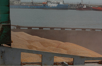 В Дагестане выявлено 28 случаев нарушения при декларировании зерна