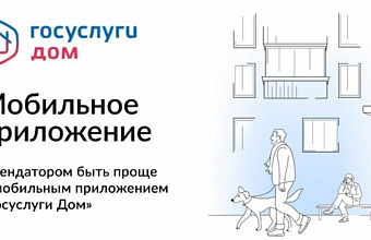 Свыше 24 тыс. дагестанцев стали активными пользователями приложения «Госуслуги.Дом»