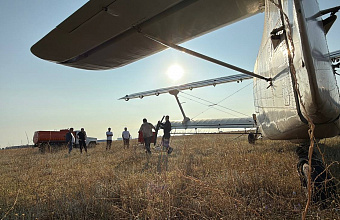 30 тысяч гектаров посевов в Дагестане защищены от саранчи