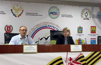 Вопросы улучшения качества племенных овец обсудили в рамках выставки в Дагестане