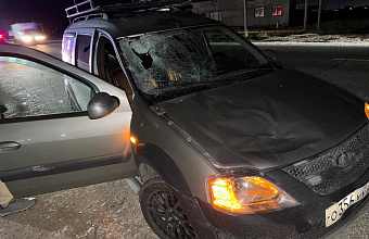 Смертельный наезд на пешехода произошел в Дагестане