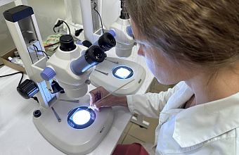 Единственный в РФ онкопрепарат на основе вируса успешно прошел первые испытания