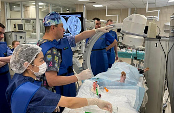 Врачи больницы скорой помощи в Дагестане отработали навыки операций при инсультах на животных