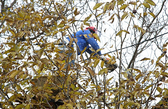 Энергетики восстановили свет в Учхозе и Сепараторном поселке Махачкалы, несмотря на помехи
