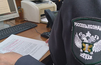 Россельхознадзор в Дагестане выявил 90 нарушений при ввозе подкарантинной продукции