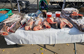 В Махачкале пройдет рыбная сельскохозяйственная ярмарка, приуроченная к Новому году