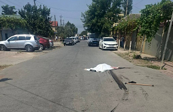 Пенсионерка погибла в результате наезда автомобиля в Дагогнях