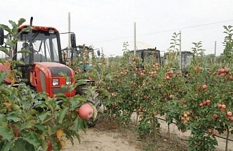 Дагестан выделит 5 млрд рублей на развитие агропромышленного комплекса