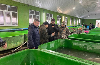В Дагестане введут временную схему водоснабжения рыбокомбината на период реконструкции гидроузла и канала