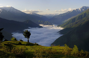 Дагестанский заповедник стал одним из самых популярных мест у туристов за 2023 год