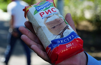 Урожай риса в Дагестане в 2024 году вырастет на 6%