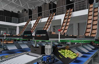 В Дагестане в 2025 году мощности овощехранилищ увеличат на треть