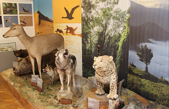 Обновленная естественно-научная экспозиция откроется в Национальном музее Дагестана