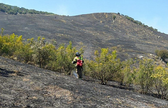 В Карабудахкентском районе горит сухая трава