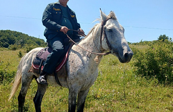 Лесные инспекторы Дагестана переходят на конное патрулирование