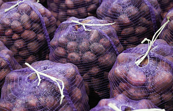 "Руспродсоюз" рассказал, из каких стран можно нарастить импорт картофеля